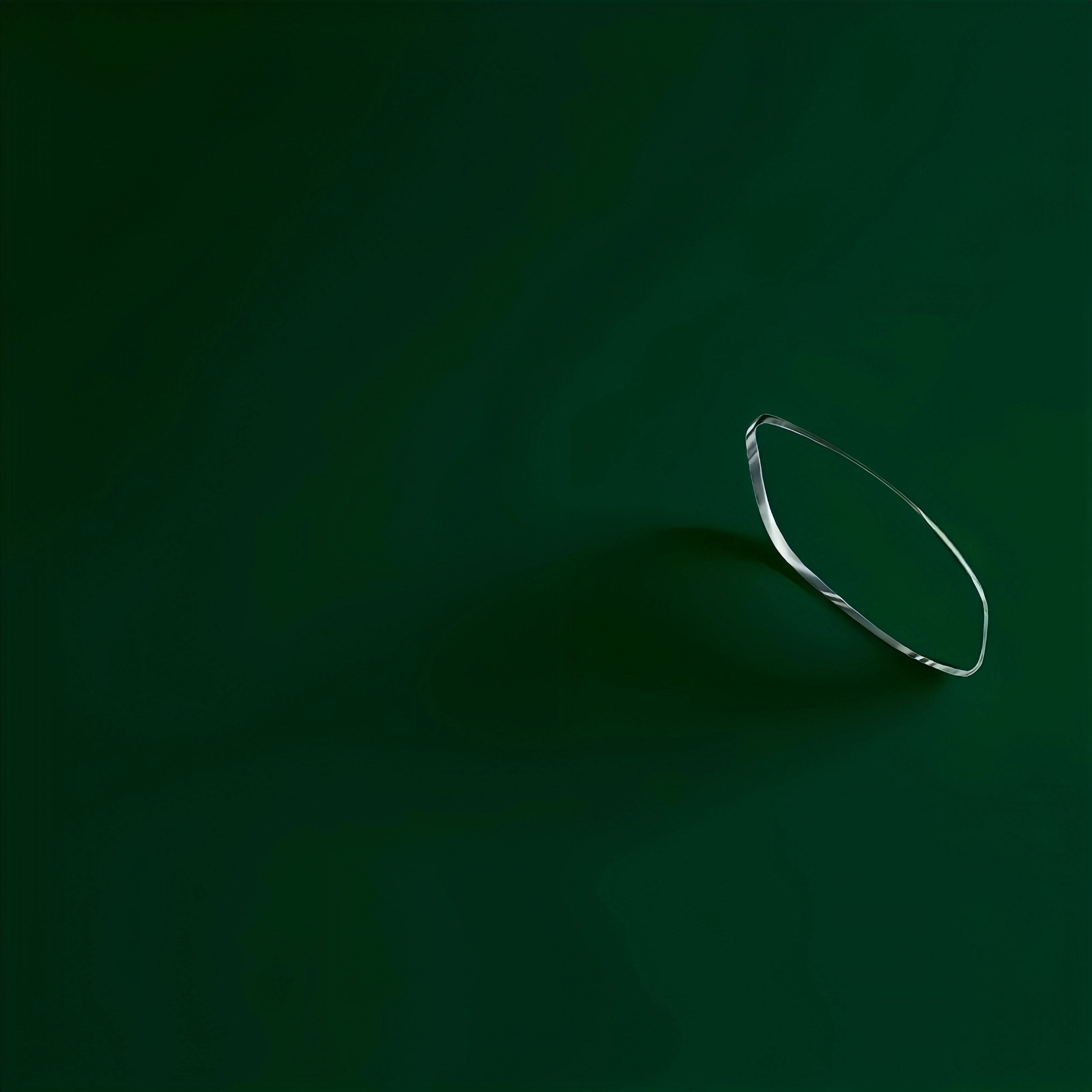 We replace lenses 
<br>in your existing frames.<br>